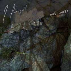 Nebulae31 : I Forgot